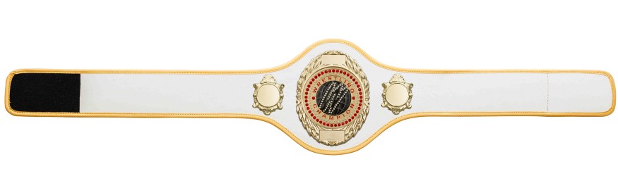 WRESTLING BELT-PRO286/G/WRESTGEMG-10+ COLOURS